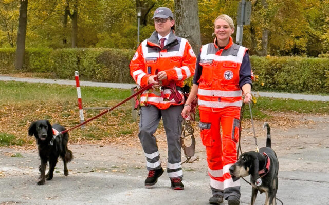 Hundeführerin und Hundeführerin der BRK-Rettungshundestaffel beim Sucheinsatz mit ihren Hunden.